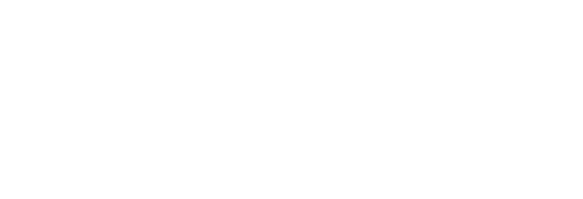 ProFix Helsinki logo